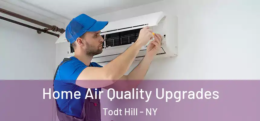Home Air Quality Upgrades Todt Hill - NY