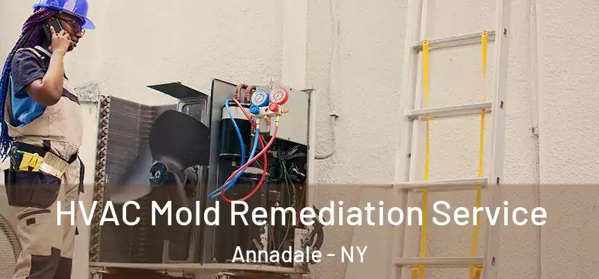  HVAC Mold Remediation Service Annadale - NY