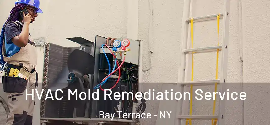 HVAC Mold Remediation Service Bay Terrace - NY