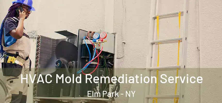 HVAC Mold Remediation Service Elm Park - NY