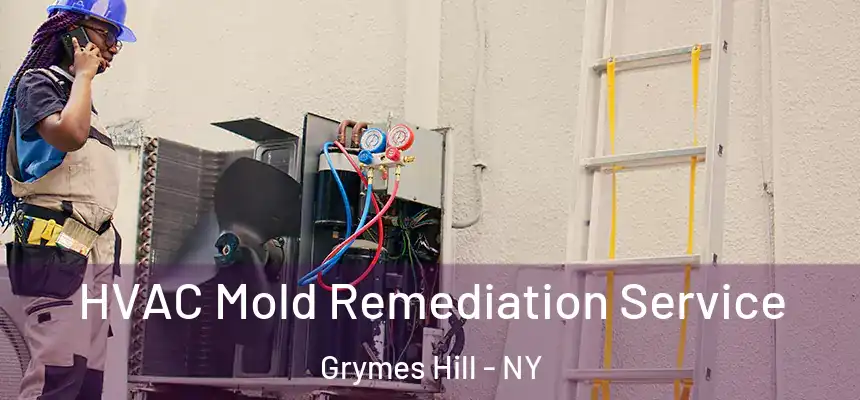  HVAC Mold Remediation Service Grymes Hill - NY