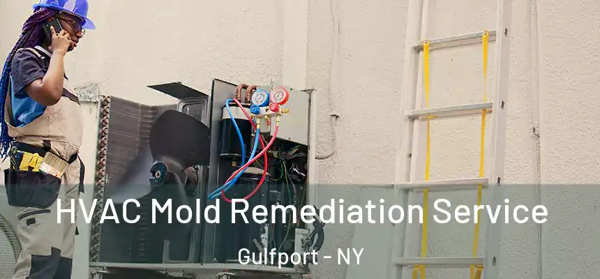 HVAC Mold Remediation Service Gulfport - NY