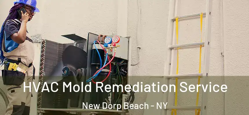  HVAC Mold Remediation Service New Dorp Beach - NY
