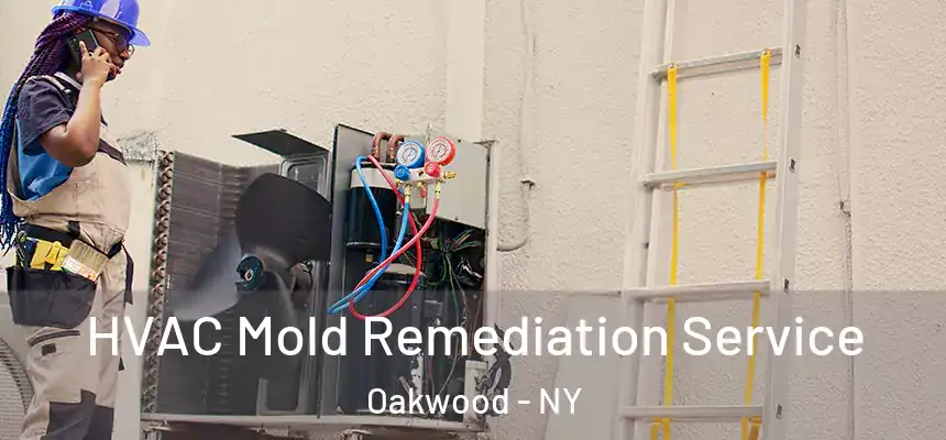HVAC Mold Remediation Service Oakwood - NY