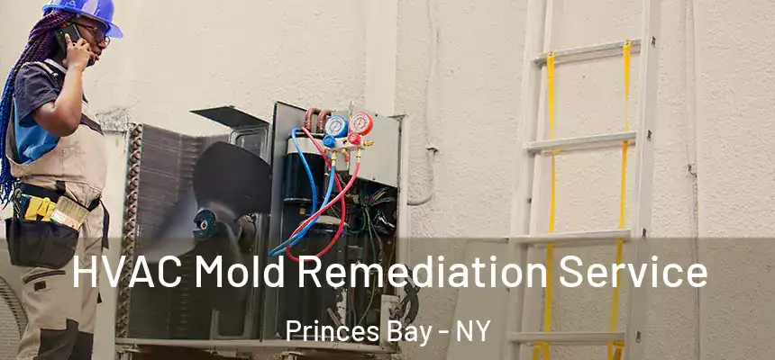 HVAC Mold Remediation Service Princes Bay - NY