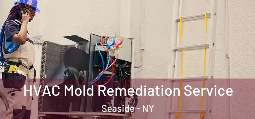 HVAC Mold Remediation Service Seaside - NY