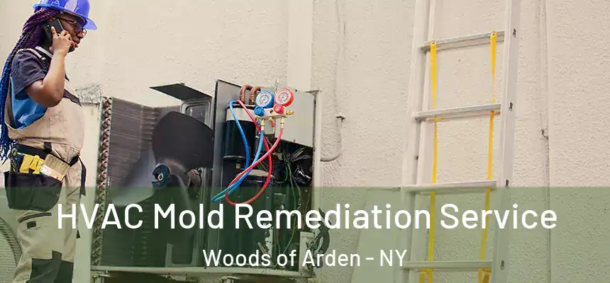 HVAC Mold Remediation Service Woods of Arden - NY