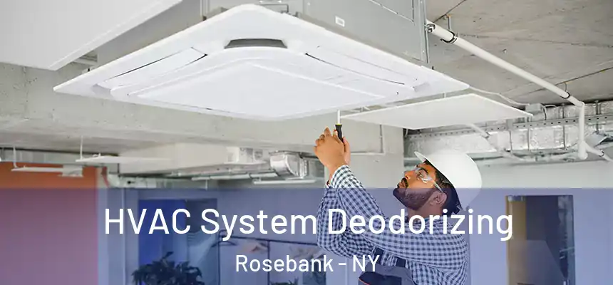 HVAC System Deodorizing Rosebank - NY