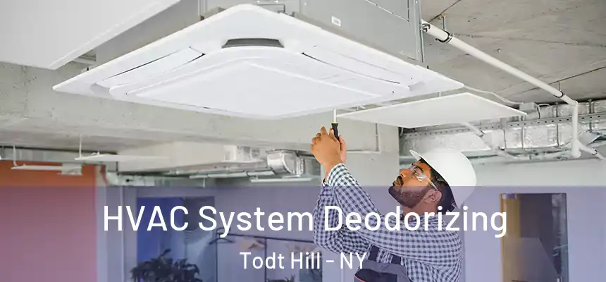 HVAC System Deodorizing Todt Hill - NY