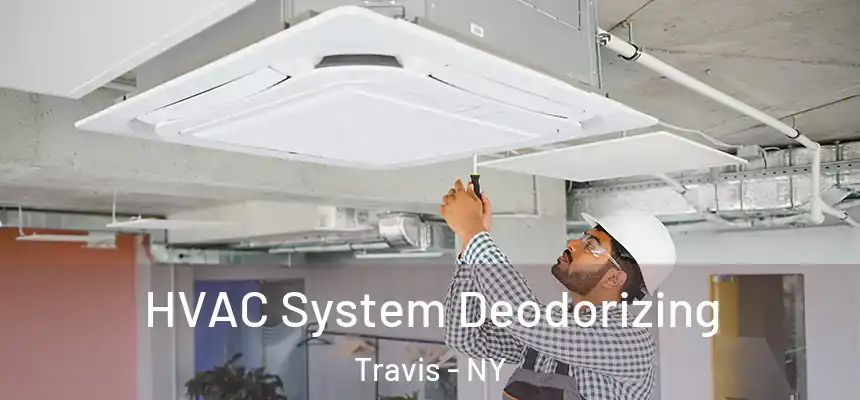 HVAC System Deodorizing Travis - NY