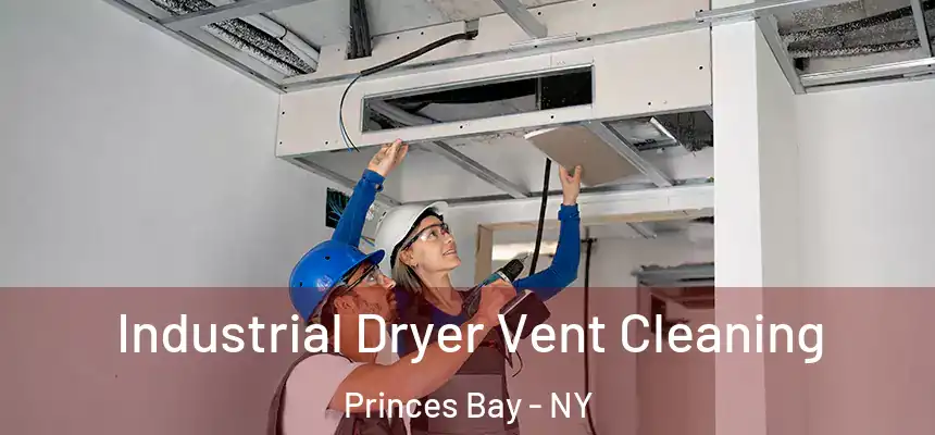 Industrial Dryer Vent Cleaning Princes Bay - NY