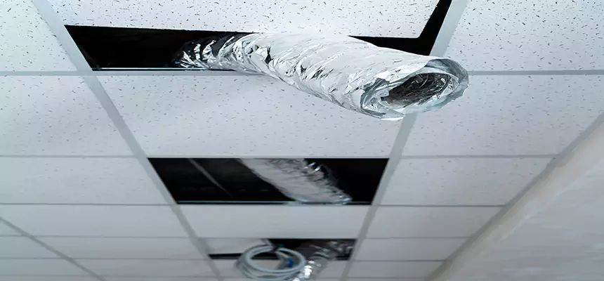 Our Air Duct Pet Hair Removal Services in Woodrow, NY