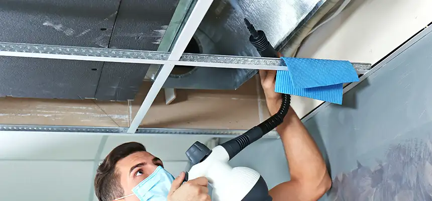 Our Air Duct Rodent Removal Services in Staten Island, NY