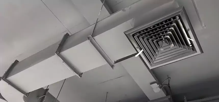 Restorative Allergy Relief Vent Cleaning – Coil, Blower & Housing Detail in Grant City