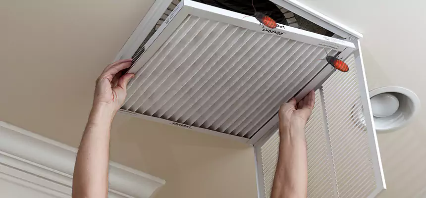 Our Insect Removal from Air Ducts Services in Staten Island, NY