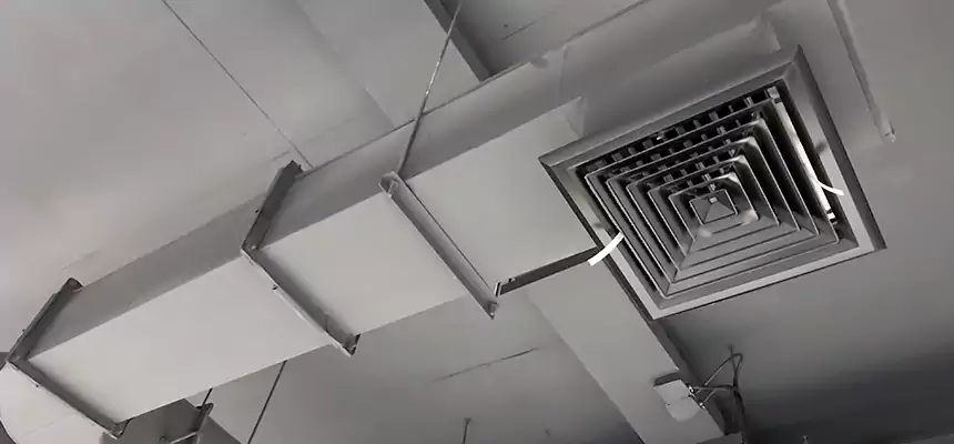 Our Pest Removal From Ducts Services in Staten Island, NY