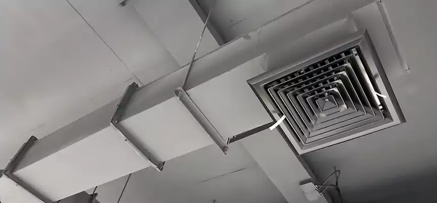 Our Rodent Droppings In Vents Services in Staten Island, NY