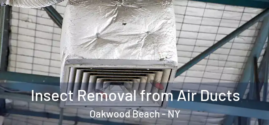  Insect Removal from Air Ducts Oakwood Beach - NY