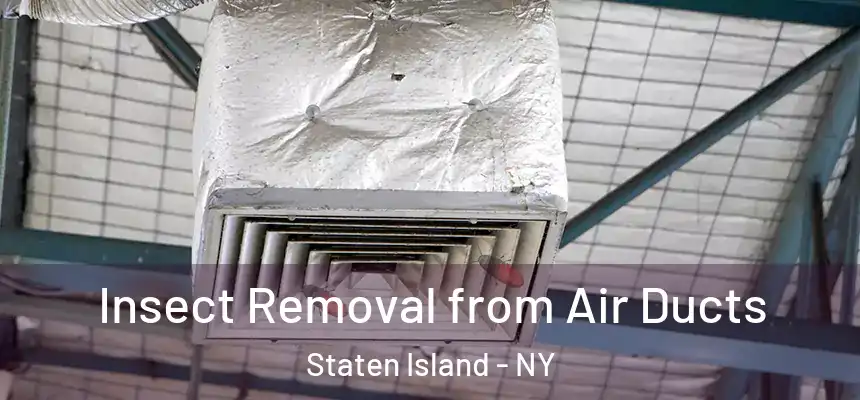Insect Removal from Air Ducts Staten Island - NY