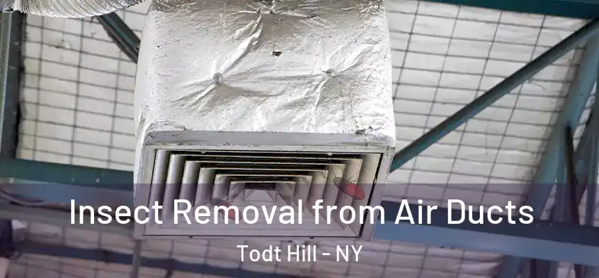 Insect Removal from Air Ducts Todt Hill - NY