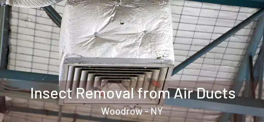 Insect Removal from Air Ducts Woodrow - NY