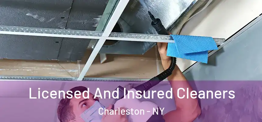 Licensed And Insured Cleaners Charleston - NY