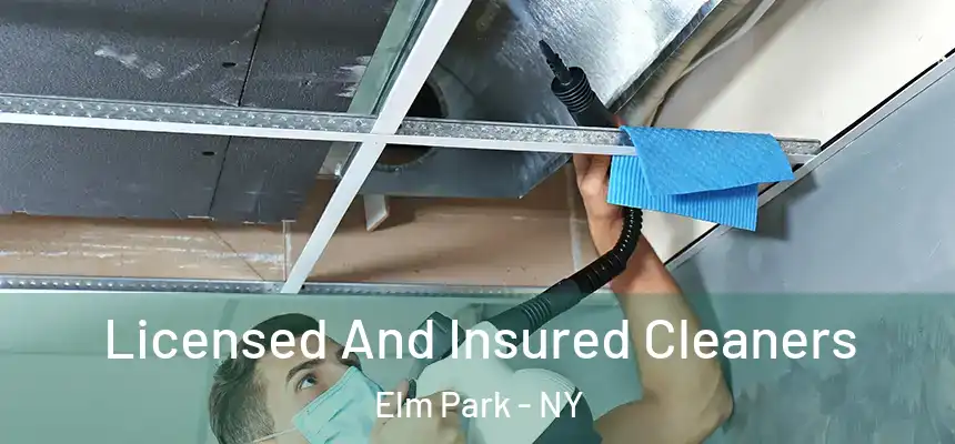  Licensed And Insured Cleaners Elm Park - NY