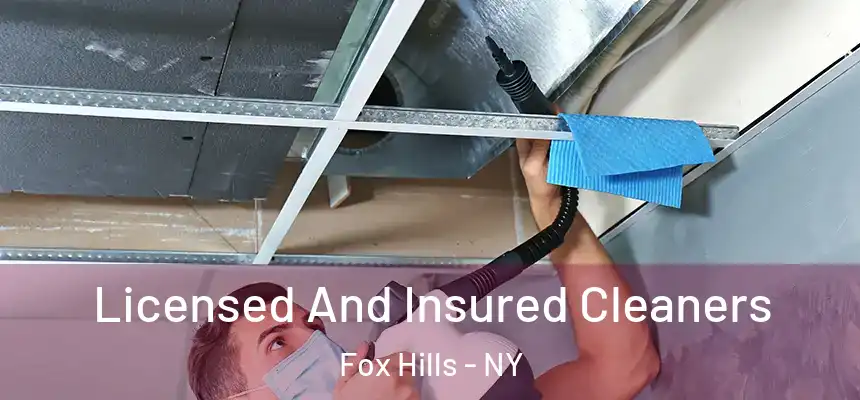 Licensed And Insured Cleaners Fox Hills - NY