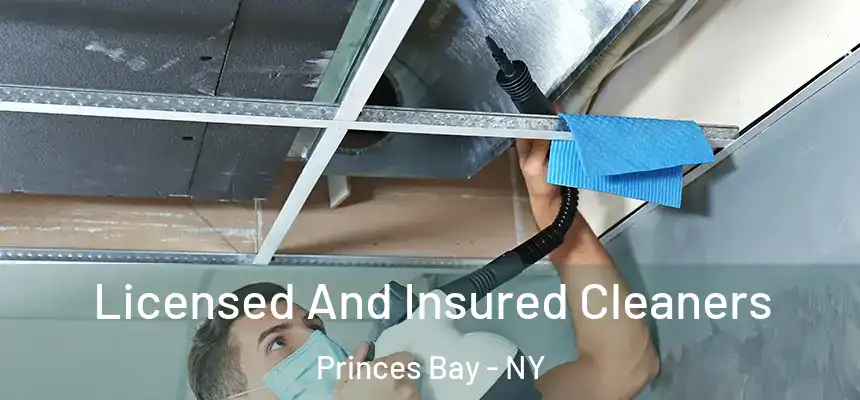 Licensed And Insured Cleaners Princes Bay - NY