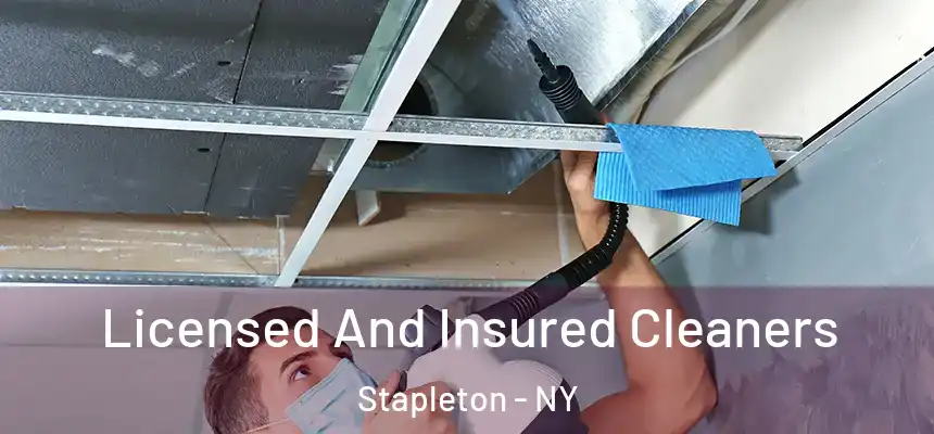  Licensed And Insured Cleaners Stapleton - NY