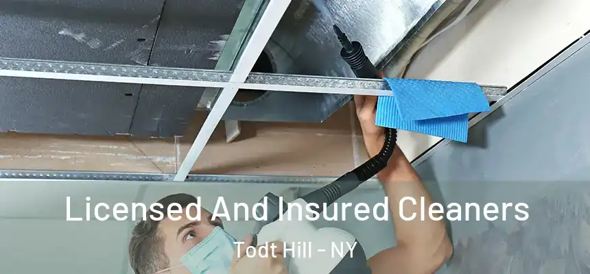 Licensed And Insured Cleaners Todt Hill - NY