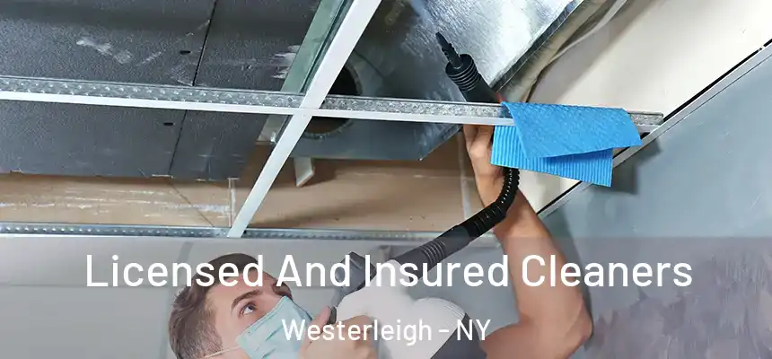  Licensed And Insured Cleaners Westerleigh - NY