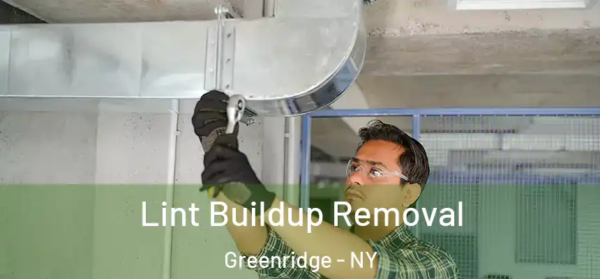  Lint Buildup Removal Greenridge - NY