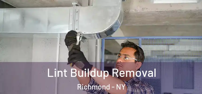  Lint Buildup Removal Richmond - NY