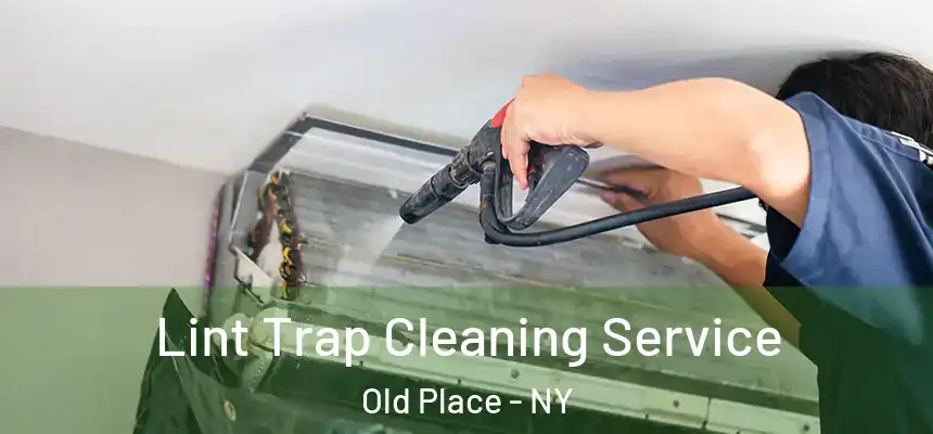 Lint Trap Cleaning Service Old Place - NY
