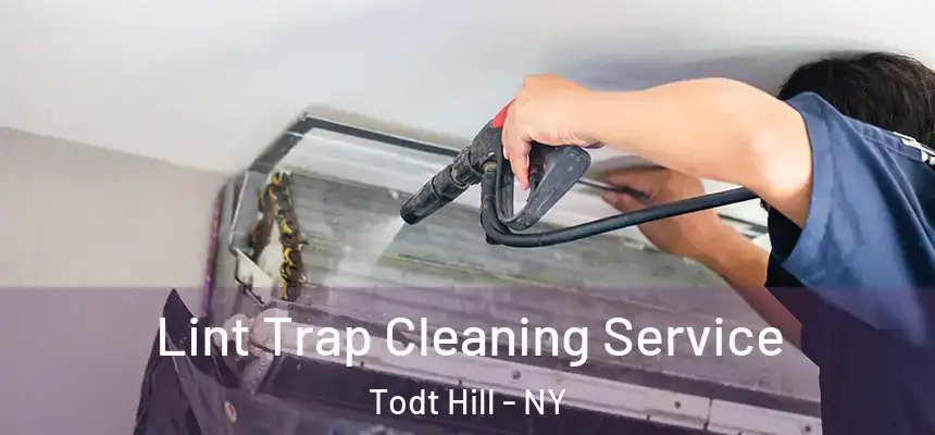  Lint Trap Cleaning Service Todt Hill - NY