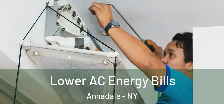 Lower AC Energy Bills Annadale - NY