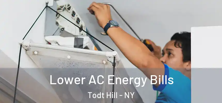  Lower AC Energy Bills Todt Hill - NY