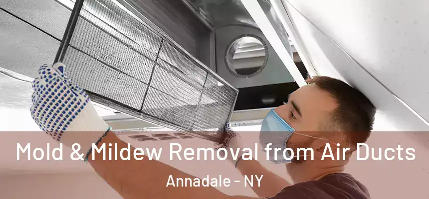  Mold & Mildew Removal from Air Ducts Annadale - NY