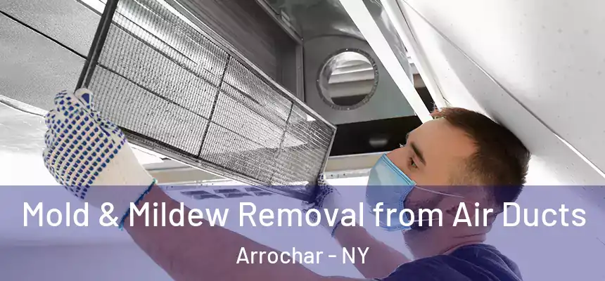 Mold & Mildew Removal from Air Ducts Arrochar - NY