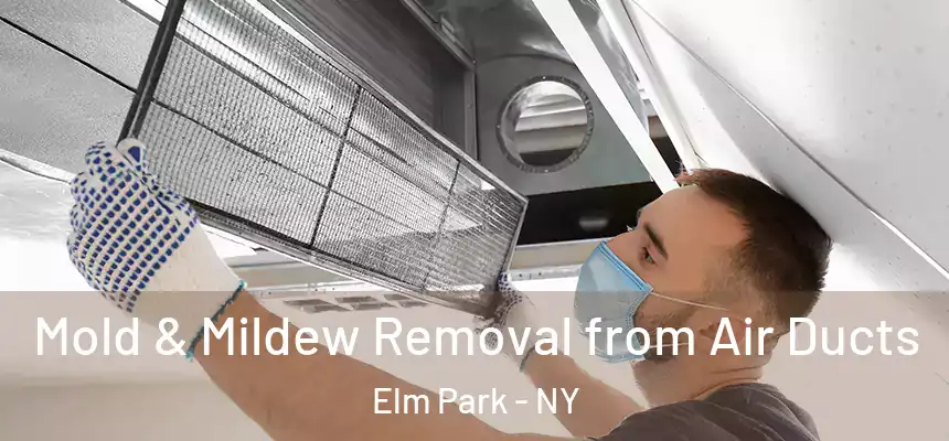 Mold & Mildew Removal from Air Ducts Elm Park - NY