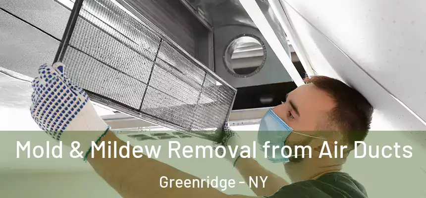 Mold & Mildew Removal from Air Ducts Greenridge - NY