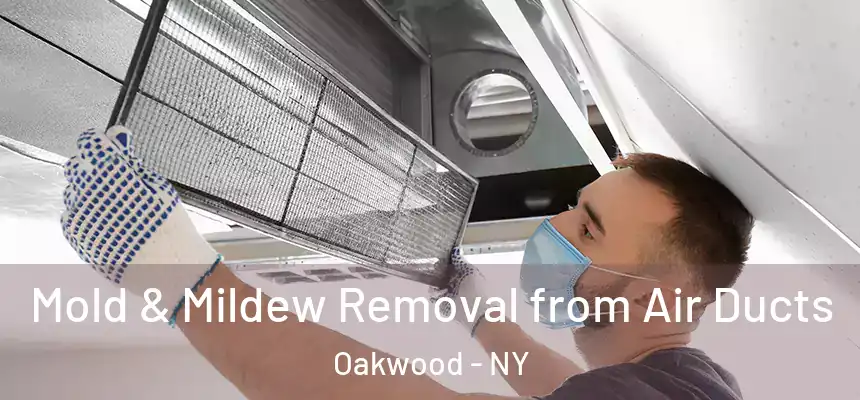 Mold & Mildew Removal from Air Ducts Oakwood - NY