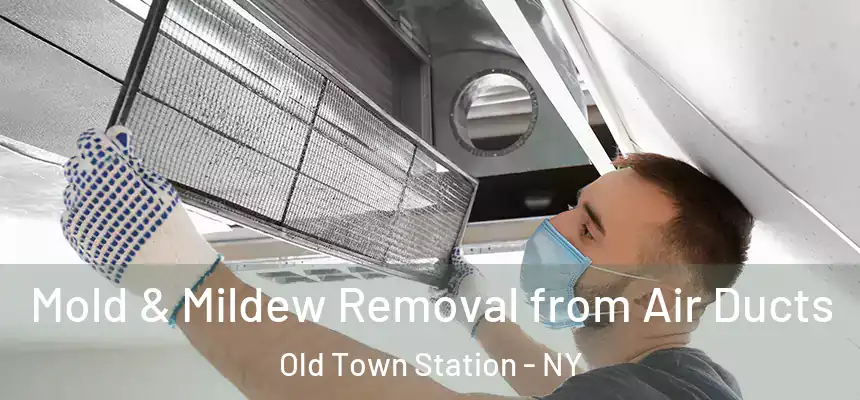 Mold & Mildew Removal from Air Ducts Old Town Station - NY