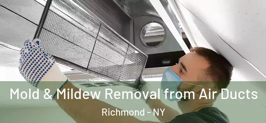 Mold & Mildew Removal from Air Ducts Richmond - NY