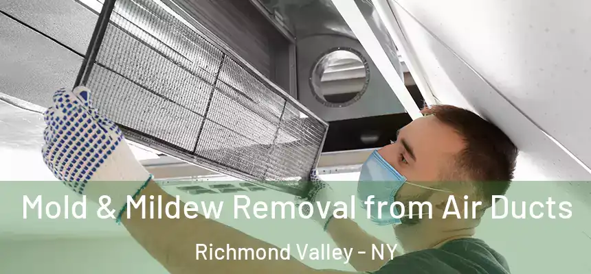 Mold & Mildew Removal from Air Ducts Richmond Valley - NY