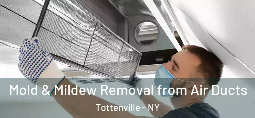 Mold & Mildew Removal from Air Ducts Tottenville - NY