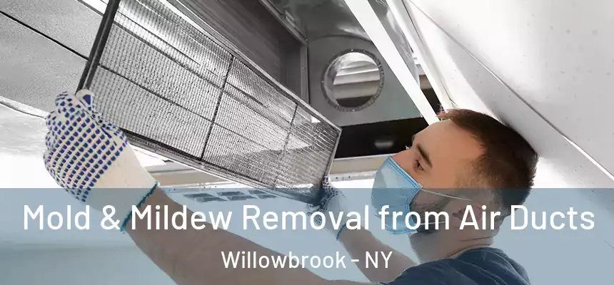 Mold & Mildew Removal from Air Ducts Willowbrook - NY