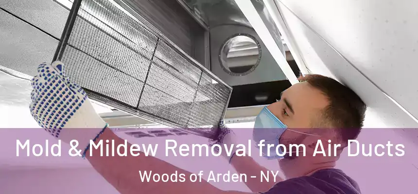 Mold & Mildew Removal from Air Ducts Woods of Arden - NY