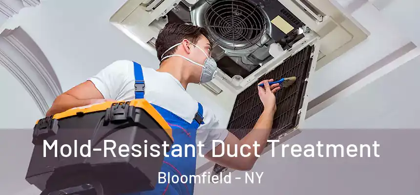 Mold-Resistant Duct Treatment Bloomfield - NY